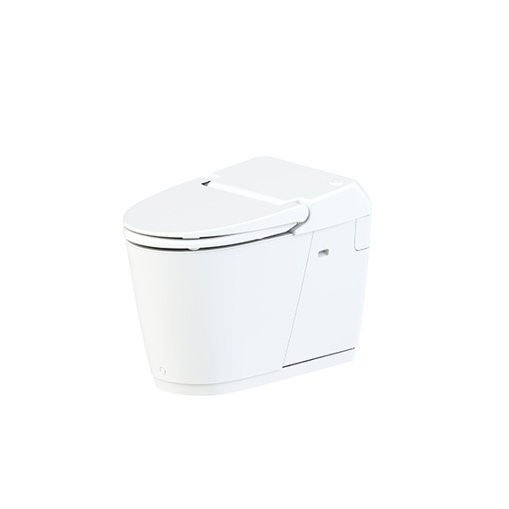 SFA-Sanismart-wc-broyeur
