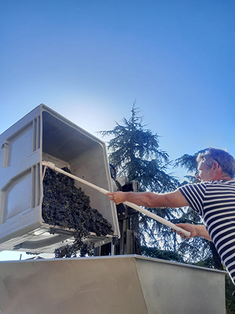 3_FAUN-VENDANGES.jpg 3_FAUN-VENDANGES.jpg